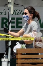 COURTENEY COX Wearing a Mask at Farmer