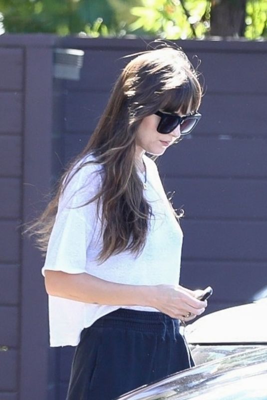 DAKOTA JOHNSON Out and About in Los Angeles 05/21/2020