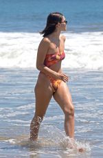 DELILAH and AMELIA HAMLIN in Bikinis at a Beach in Malibu 05/21/2020