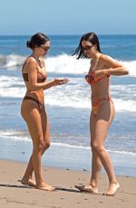 DELILAH and AMELIA HAMLIN in Bikinis at a Beach in Malibu 05/21/2020