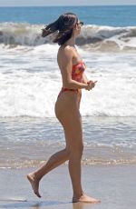 DELILAH and AMELIA HAMLIN in Bikinis at a Beach in Malibu 05/21/2020
