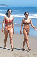 DELILAH and AMELIA HAMLIN in Bikinis at a Beach in Malibu 05/21/2020