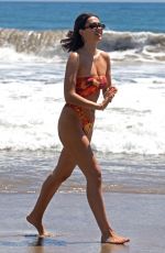 DELILAH and AMELIA HAMLIN in Bikinis at a Beach in Malibu 05/21/2020