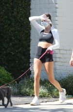 DELILAH and AMELIA HAMLIN in Tights Out with Their Dog in Beverly Hills 04/30/2020