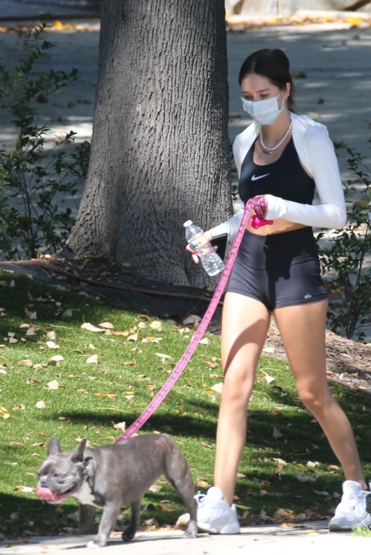 DELILAH and AMELIA HAMLIN in Tights Out with Their Dog in Beverly Hills 04/30/2020