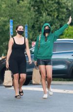 EMILY RATAJKOWSKI Wearing a Black Mask at Gelson