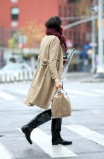 FAMKE JANSSEN Out Shopping in New York 04/30/2020