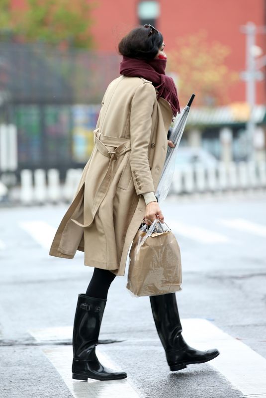 FAMKE JANSSEN Out Shopping in New York 04/30/2020