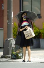 FAMKE JANSSEN Out Shopping in New York 05/14/2020