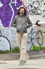 HELENA CHRISTENSEN Wearing Mask Out in New York 04/30/2020