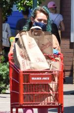 HILARY DUFF Wearing Mask Out Shopping in Studio City 04/30/2020