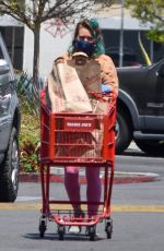HILARY DUFF Wearing Mask Out Shopping in Studio City 04/30/2020