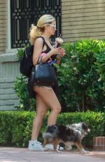 HOLLY MADISON in Denim Cut Off Out with Her Dog in Los Angeles 05/03/2020