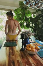 IRELAND BALDWIN in Bikini - Instagram Photos 05/06/2020