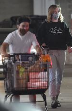 IRELAND BALDWIN Out Shopping in Los Angeles 05/19/2020