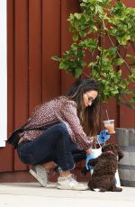 JORDANA BREWSTER Out with Her Dog in Brentwood 05/12/2020
