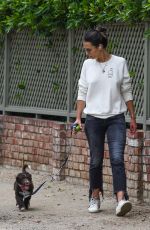 JORDANA BREWSTER Out with Her Dog in Los Angeles 05/10/2020