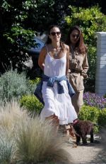 JORDANA BREWSTER Out with Her Dog in Pacific Palisades 05/24/2020