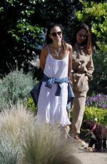 JORDANA BREWSTER Out with Her Dog in Pacific Palisades 05/24/2020
