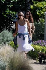 JORDANA BREWSTER Out with Her Dog in Pacific Palisades 05/24/2020