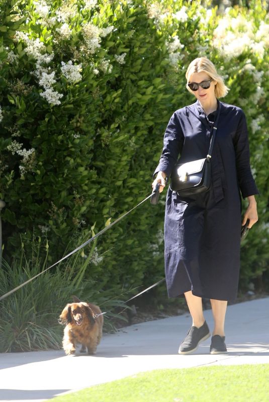 KELLY RUTHERFORD Out with Her Dog in Brentwood 05/20/2020