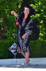 KYLE RICHARDS Out and About in Beverly Hills 05/05/2020