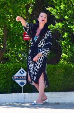KYLE RICHARDS Out and About in Beverly Hills 05/05/2020