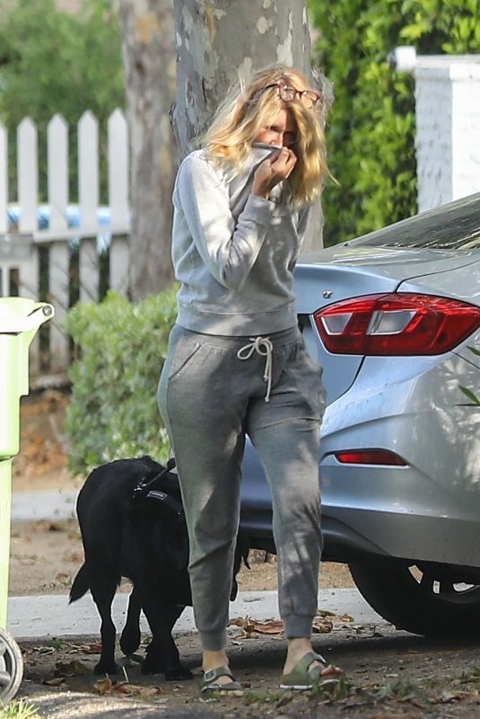 LAURA DERN Out with Her Dog in Pacific Palisades 05/518/2020