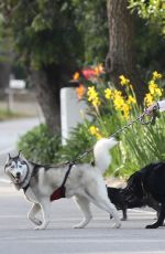 LAURA DERN Out with Her Dogs in Santa Monica 05/07/2020