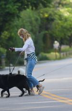 LAURA DERN Out with Her Dogs in Santa Monica 05/07/2020
