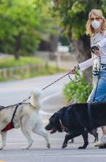 LAURA DERN Out with Her Dogs in Santa Monica 05/07/2020