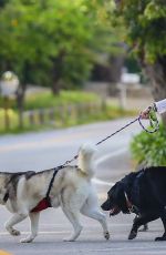 LAURA DERN Out with Her Dogs in Santa Monica 05/07/2020