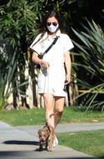 LILY COLLINS Out with her Dog in Beverly Hills 05/07/2020