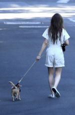 LILY COLLINS Out with her Dog in Beverly Hills 05/07/2020