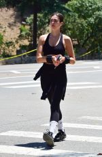 LISA RINNA and AMELIA HAMLIN Out Hiking in Beverly Hills 05/10/2020
