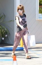 LISA RINNA Out Shopping in Bel Air 05/27/2020