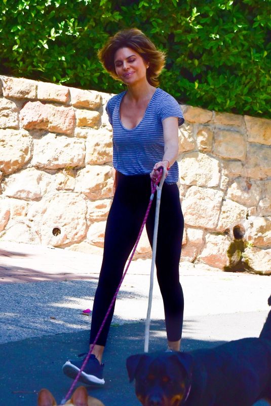 LISA RINNA Out with Her Dogs in Beverly Hills 04/30/2020