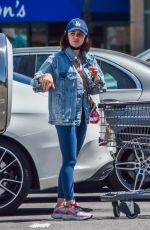 LUCY HALE Out Shopping in Los Angeles 05/04/2020