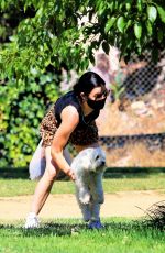 LUCY HALE Out with Elvis at a Park in Studio City 05/28/2020