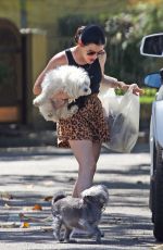 LUCY HALE Out with Elvis at a Park in Studio City 05/28/2020