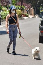 LUCY HALE Out with Elvis in Studio City 05/11/2020
