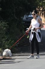 LUCY HALE Out with Elvis in Studio City 05/17/2020