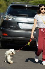 LUCY HALE Out with Her Dog in Studio City 05/08/2020