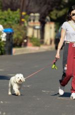 LUCY HALE Out with Her Dog in Studio City 05/08/2020