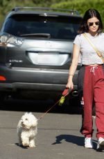 LUCY HALE Out with Her Dog in Studio City 05/08/2020
