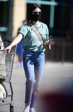 LUCY HALE Wearing a Mask at Gelsons in Los Angeles 05/24/2020