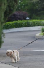 MARIA SHRIVER Out with Her Dog Brentwood 05/07/2020