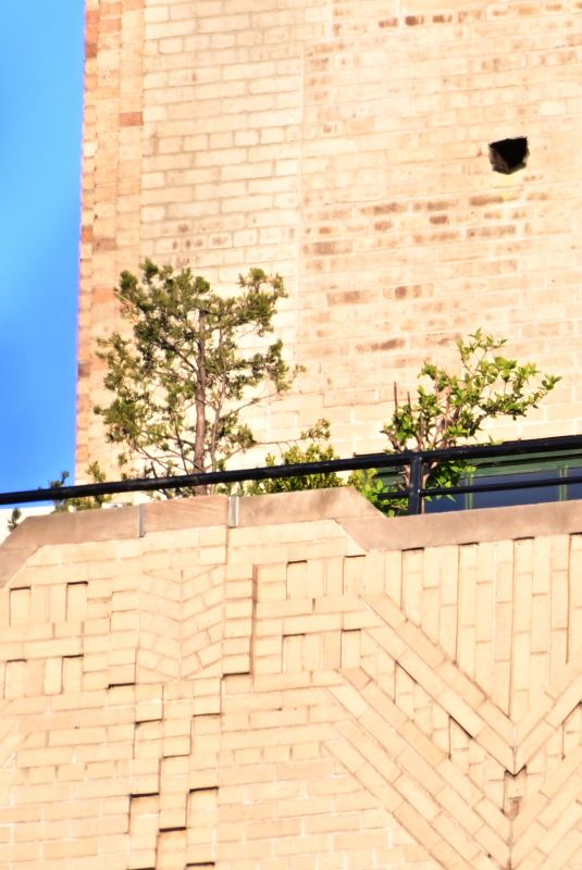 MARIAH CAREY on a Balcony in New York 05/04/2020