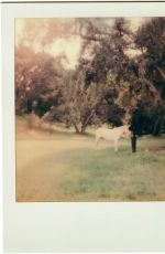 NOAH CYRUS for I Got So High I Saw Jesus, May 2020