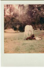 NOAH CYRUS for I Got So High I Saw Jesus, May 2020